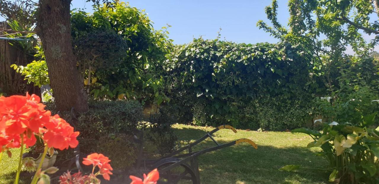 Apartment A Quinta Bolboretas