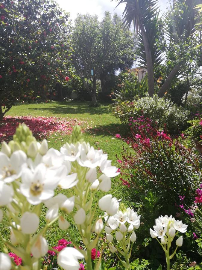 Apartment A Quinta Bolboretas