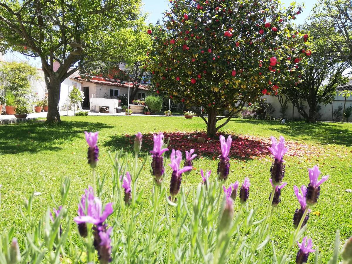 A Quinta Bolboretas * Sanxenxo